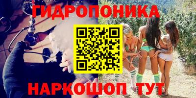 винт Будённовск