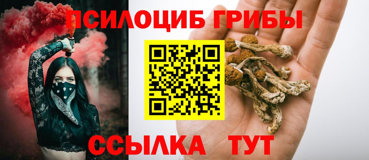 Галлюциногенные грибы Cubensis Сегежа