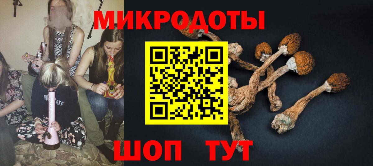 Галлюциногенные грибы ЛСД  Вход с VPN  Сегежа 
